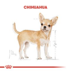 ﻿Royal Canin Chihuahua Adult Yetişkin Köpek Maması 1.5 Kg