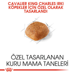 ﻿Royal Canin Cavalier King Charles Adult Yetişkin Köpek Maması 1.5 Kg