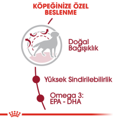 ﻿Royal Canin Medium Adult Orta Irk Yetişkin Köpek Maması 15 Kg