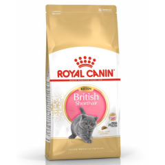 Royal Canin British Shorthair Kitten Yavru Kedi Maması 2 Kg