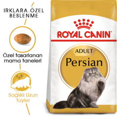 Royal Canin Persian Yetişkin Kedi Maması 4 Kg