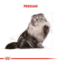 Royal Canin Persian Yetişkin Kedi Maması 4 Kg