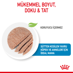 Royal Canin Starter Mother Babydog Yavru Köpek Konserve Maması 195 Gr