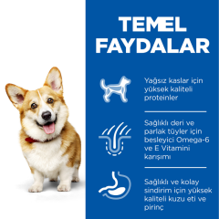 Hill's SCIENCE PLAN Kuzulu ve Pirinçli Küçük ve Mini Irk Yetişkin Köpek Maması 1.5 Kg