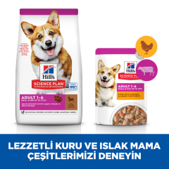 Hill's SCIENCE PLAN Kuzulu ve Pirinçli Küçük ve Mini Irk Yetişkin Köpek Maması 1.5 Kg