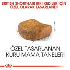 Royal Canin British Shorthair Yetişkin Kedi Maması 4 Kg