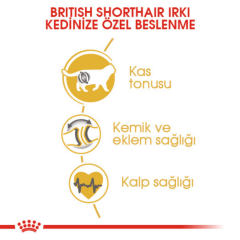 Royal Canin British Shorthair Yetişkin Kedi Maması 4 Kg