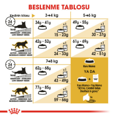 Royal Canin British Shorthair Yetişkin Kedi Maması 4 Kg