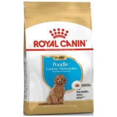 Royal Canin Poodle Puppy Yavru Köpek Maması 3 Kg