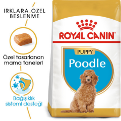 Royal Canin Poodle Puppy Yavru Köpek Maması 3 Kg