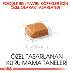 Royal Canin Poodle Puppy Yavru Köpek Maması 3 Kg