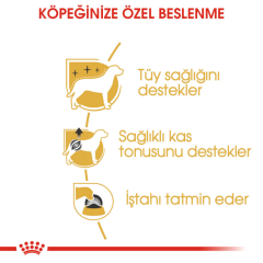 Royal Canin Poodle Pouch Köpek Konserve Maması 85 Gr