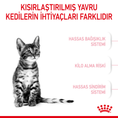 Royal Canin Kitten Sterilised Kısırlaştırılmış Yavru Kedi Maması 2 Kg