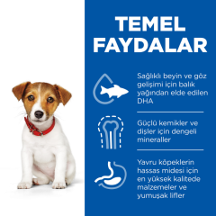 ﻿Hill's SCIENCE PLAN Tavuklu Küçük ve Mini Irk Yavru Köpek Maması 1.5 Kg