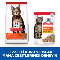 ﻿Hill's SCIENCE PLAN Yetişkin Kuzulu Kedi Maması 1.5 Kg