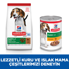 ﻿Hill's SCIENCE PLAN Kuzulu ve Pirinçli Orta Irk Yavru Köpek Maması 14 Kg