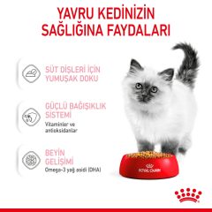 Royal Canin Kitten Jelly Pouch Yavru Kedi Konserve Maması 85 Gr