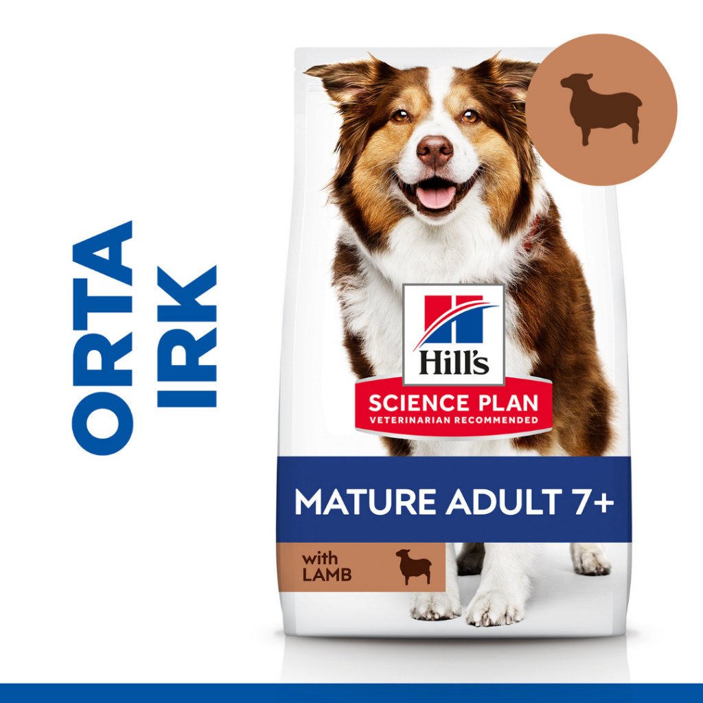 Hill's SCIENCE PLAN Kuzulu ve Pirinçli Orta Irk +7 Yaşlı Köpek Maması 2.5 Kg