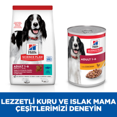 ﻿Hill's SCIENCE PLAN Ton Balıklı ve Pirinçli Orta Irk Yetişkin Köpek Maması 12 Kg