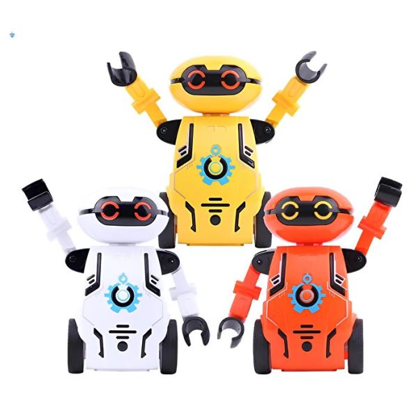 İki Tekerlekli Mini Robot