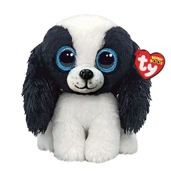CAVALIER - DOG BLK/WHT REG