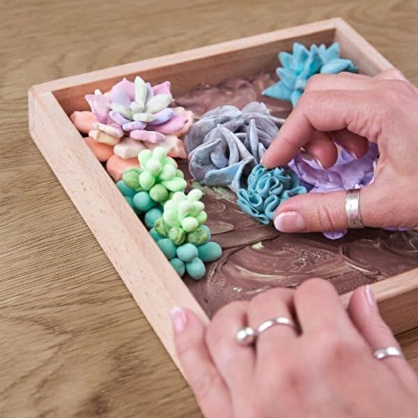 SENSORY ART SUCCULENT CLAY SET - SENSITIVITY / TM