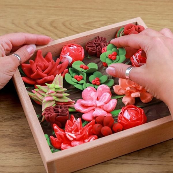 Succulents Passion 3D Duyusal Sanat Seti