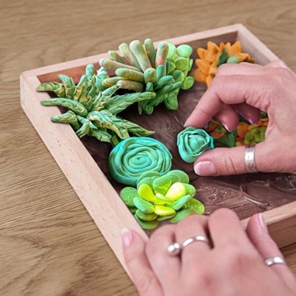Succulents Energy 3D Duyusal Sanat Seti