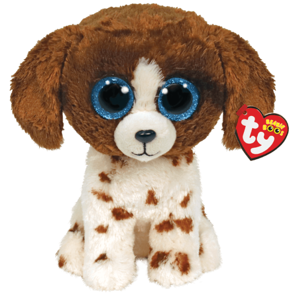 MUDDLES - DOG BROWN WHITE REG
