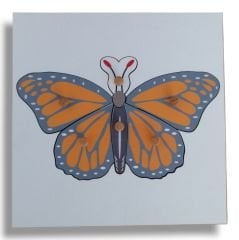Hayvan Puzzle Seti (6 Puzzle + Raf) / Animal Puzzle Set