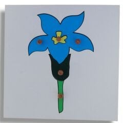 Bitkiler Puzzle Set (4 puzzle + Raf ) / Botany Puzzle Set