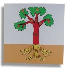 Bitkiler Puzzle Set (4 puzzle + Raf ) / Botany Puzzle Set