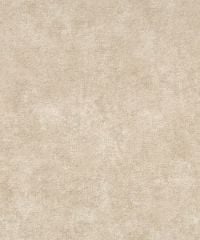 VD1204 VILLA DANELLİ İTHAL DUVAR KAĞIDI