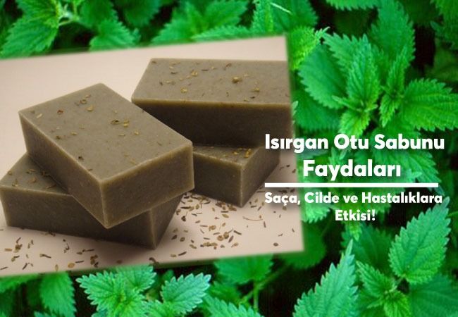 Isırgan Otu Sabunu Faydaları – Saça ve Cilde ve Mucize Etkisi!