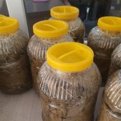Bağ Yaprağı Net 3 Kg
