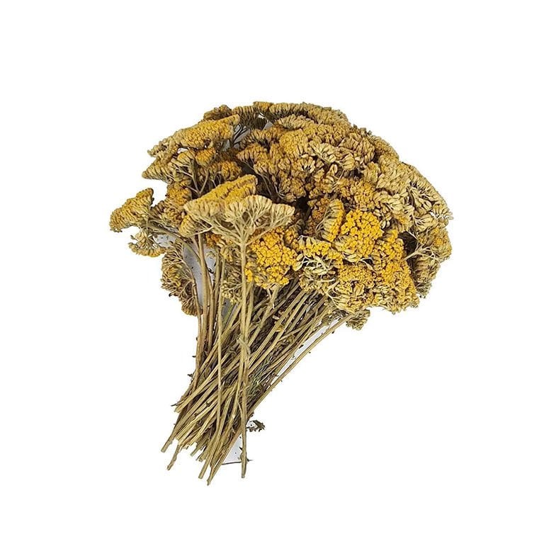Civan Perçemi 40 gr