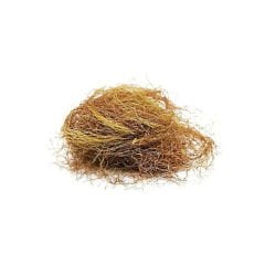 Mısır Püskülü 40 gr