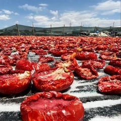 Domates Kurusu - Kızartmalık - 1 KG