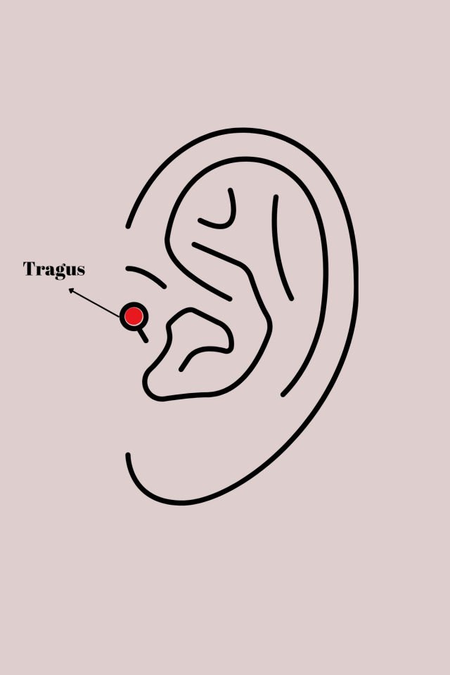 Gümüş Zirkon Taşlı Yaprak Tragus Piercing - 316L Çelik