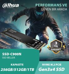 Dahua C900N 256GB M.2 NVME SSD 2000/1050 (SSD-C900N256GB)