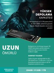 Dahua C900N 256GB M.2 NVME SSD 2000/1050 (SSD-C900N256GB)