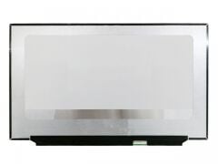 NE173FHM-NZ2 17.3'' 30 Pin 1920*1080 FHD IPS Lcd Ekran Panel 240Hz