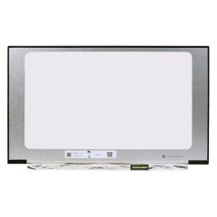 N173HCE-G33 Rev.C5 17.3 Slim FHD IPS Lcd Ekran, Panel / 40pin