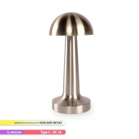 ACK Şarjlı Dokunmatik LED Masa Lambası, Renk Değiştirilebilir, Saten Renk Tek Anahtarla 3 Renk