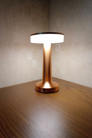 Cata Oslo Şarjlı Dim Edilebilir Masa Lambası CT-8435 Tek Anahtarla 3 Renk Yanma Modlu