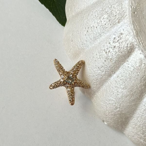 Taşlı Deniz Yıldızı Kıkırdak Küpe