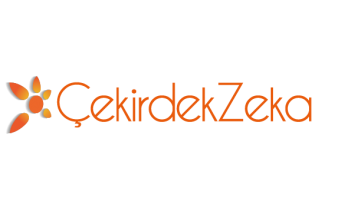 ÇEKİRDEK ZEKA