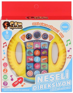 CAN-KUTULU TÜRKÇE DİREKSİYON (72)