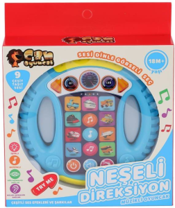 CAN-KUTULU TÜRKÇE DİREKSİYON (72)