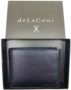 BAŞARAN-DELACOUR X